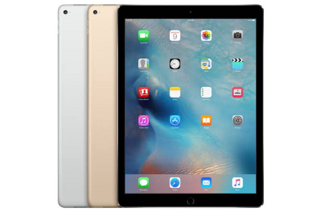 初代iPad Pro12.9インチ イヤホン　カバー　充電器付き