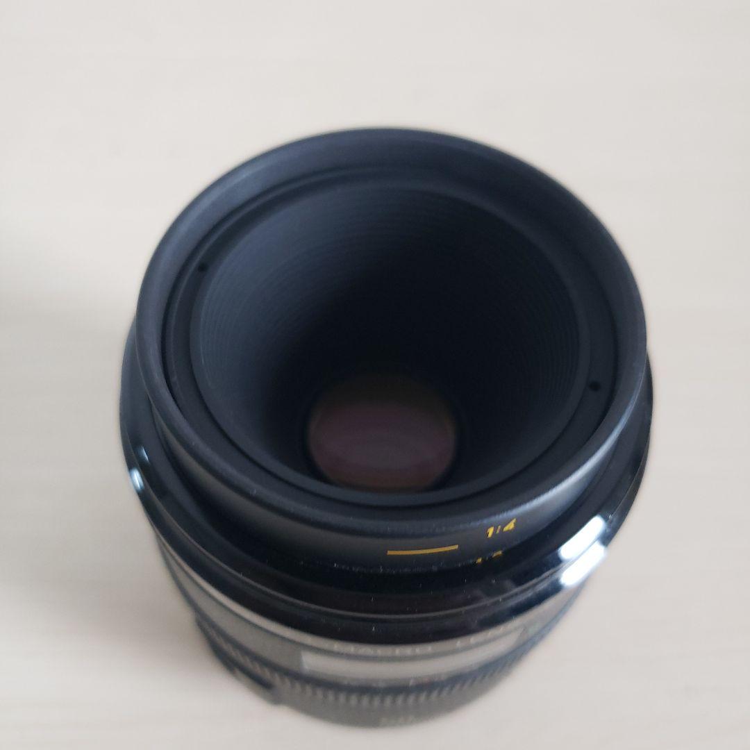 美品　キャノン EF 50mm F2.5 コンパクト マクロレンズ