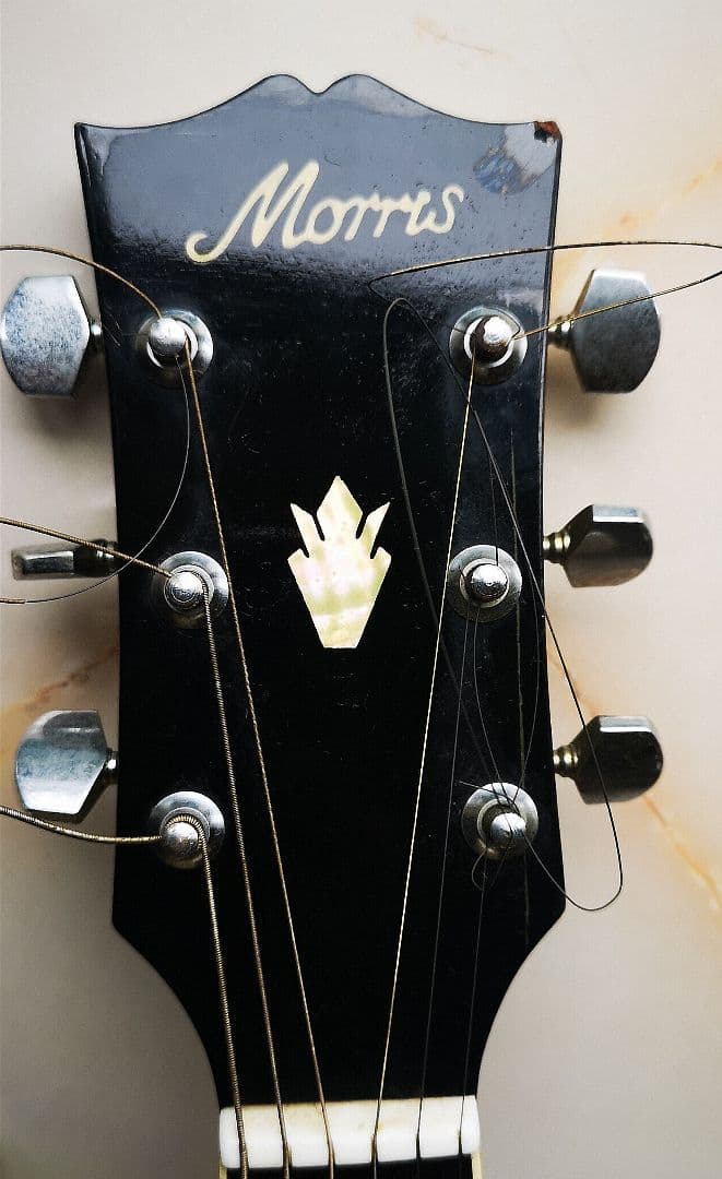 Morris モーリス WD-25N アコースティックギター ダヴモデル