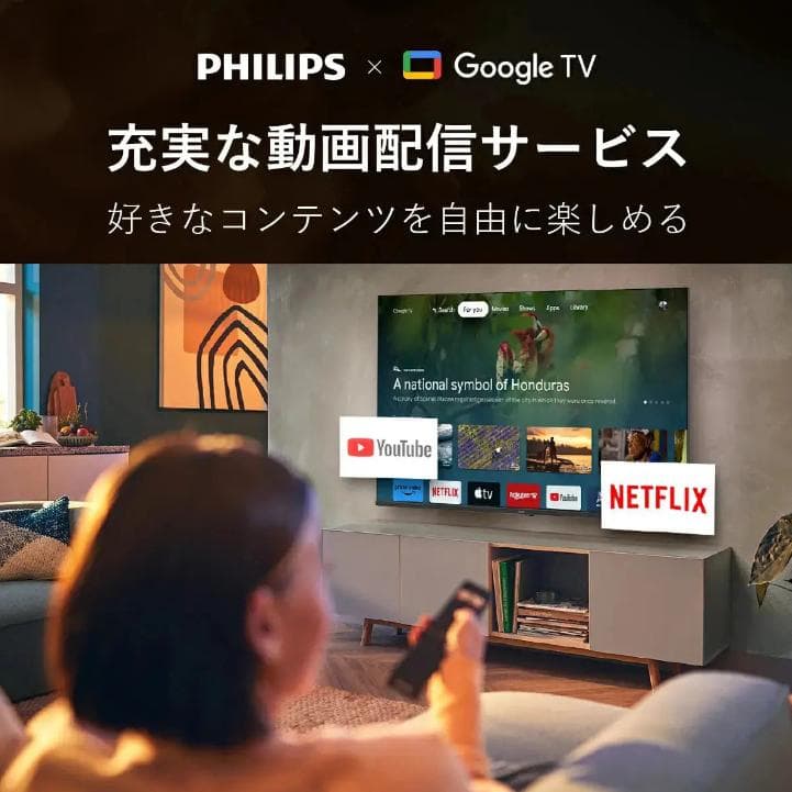 【期間限定セール開催中！】PHILIPSチューナーレテレビPUH7169 43型