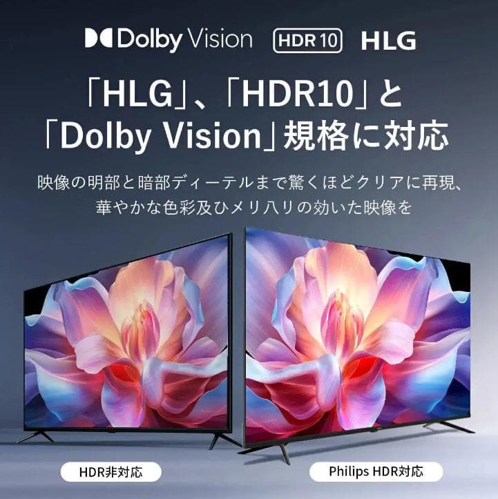 【期間限定セール開催中！】PHILIPSチューナーレテレビPUH7169 43型