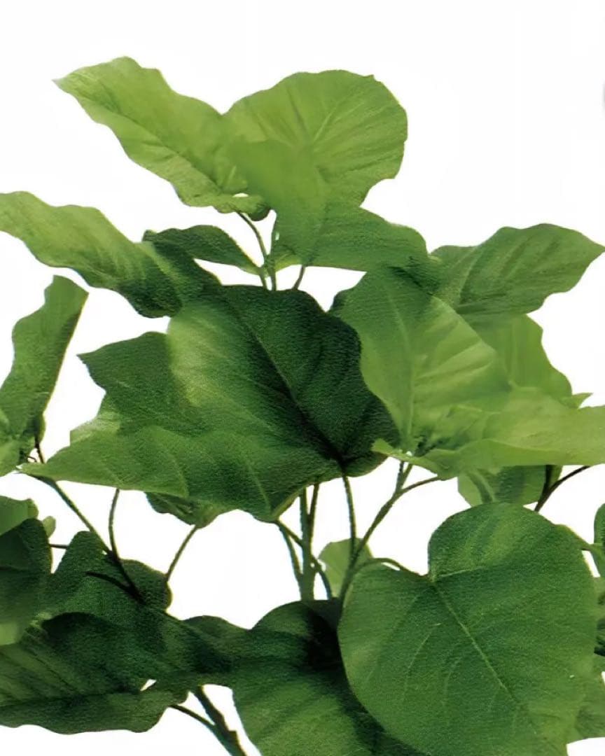 光触媒　人工観葉植物　ウォールグリーン　フェイクグリーン　ウンベラータスパイラル