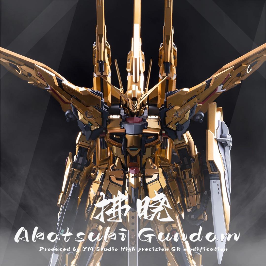 MG アカツキ ガンダム 新品未組立 改造パーツ オオワシパック シラヌイパック