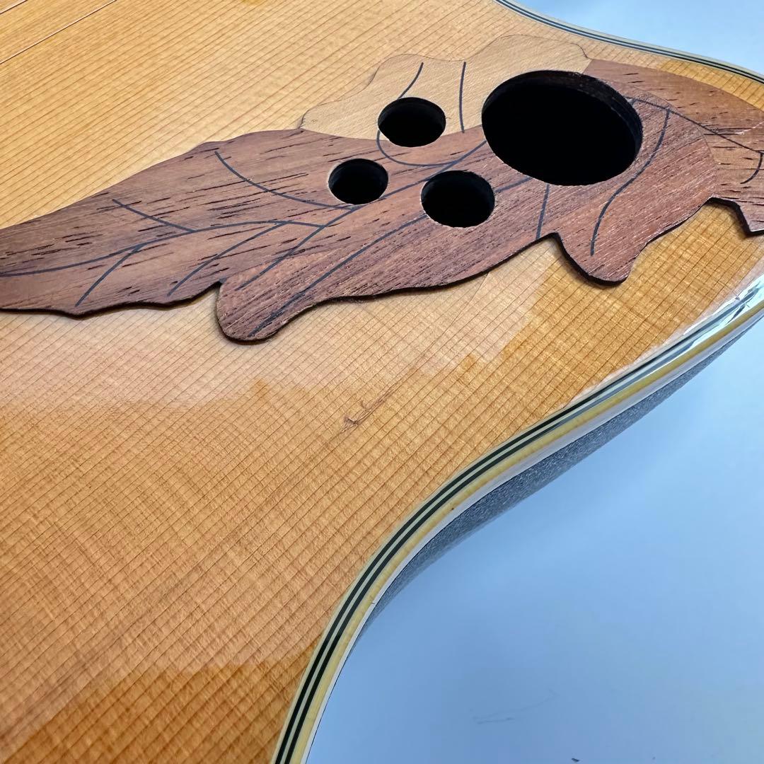 ovation APPLAUSE AE248 アコギ エレアコ