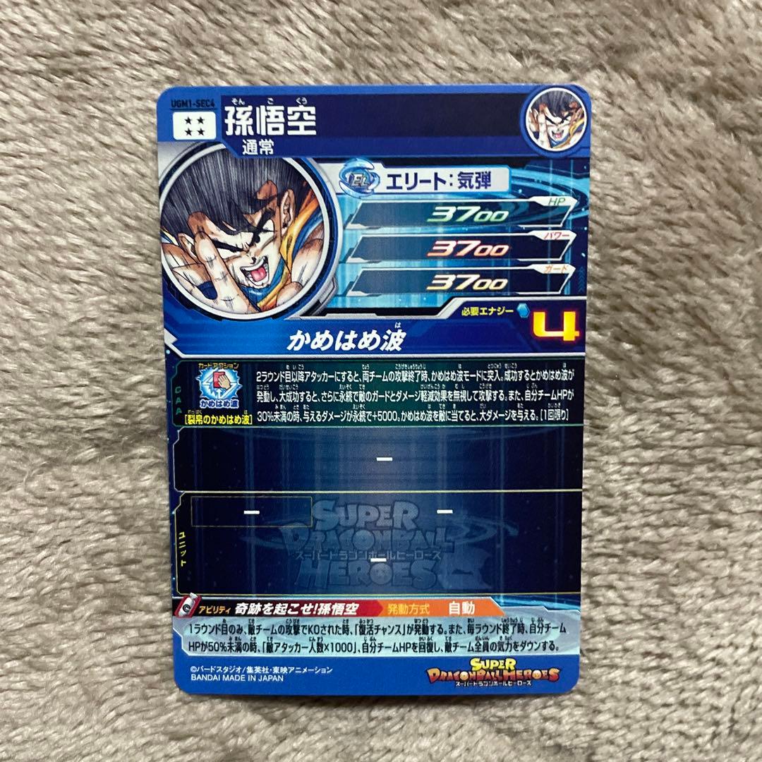 UGM1-SEC4 孫悟空