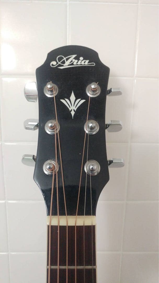 エレアコ AriaアリアElecord エレコード FET-500EBKS 中古