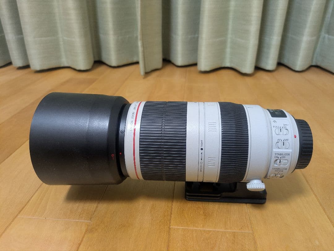 プロフ必読 EF100-400mm F4.5-5.6L IS II