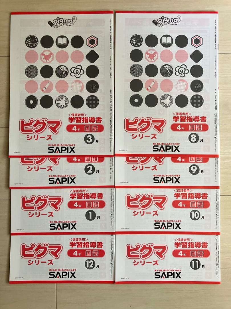 【新品】SAPIX ピグマシリーズ 4年生 8月~3月号教材
