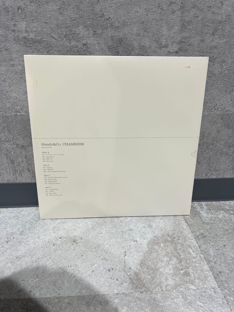 【最終価格】Steady&Co. CHAMBERS LP レコード 2枚組 希少