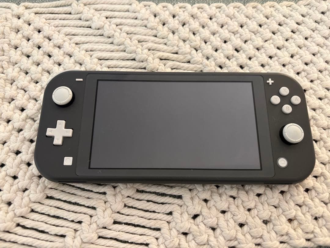 Nintendo Switch Lite グレー 本体＋ケース・充電器付き