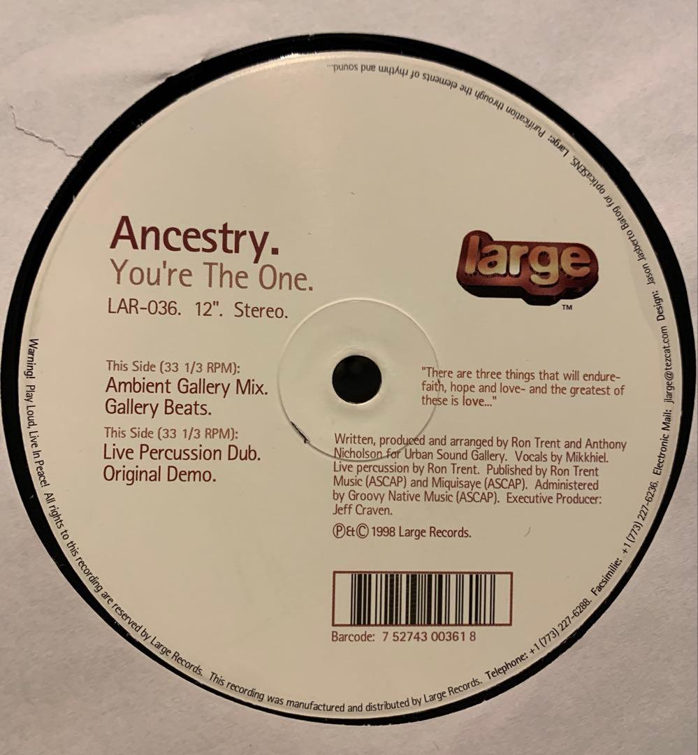 CHICAGO HOUSE VINYL ハウス　レコード　8枚まとめ