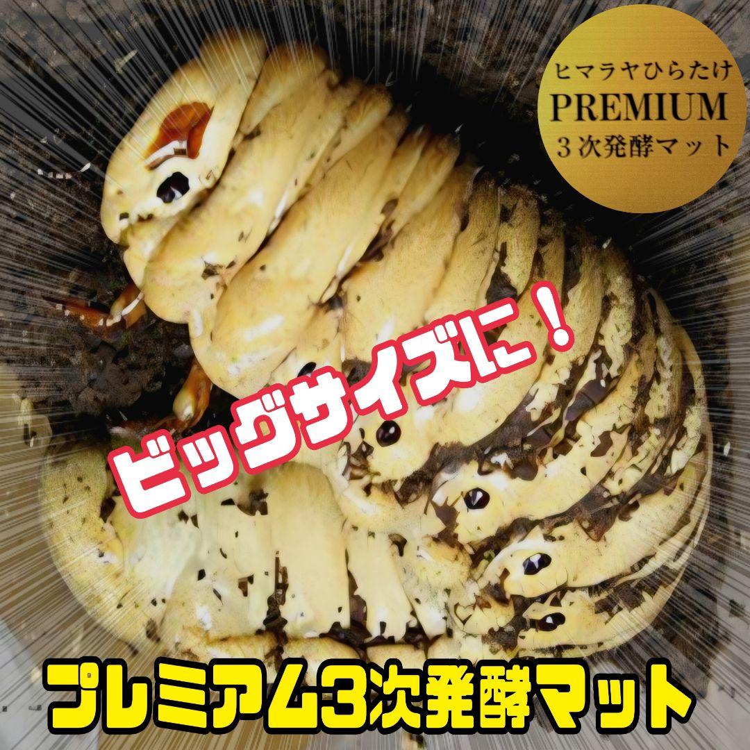 プレミアム3次発酵カブトムシマット　100リットル　ヘラクレス181ミリ羽化実績