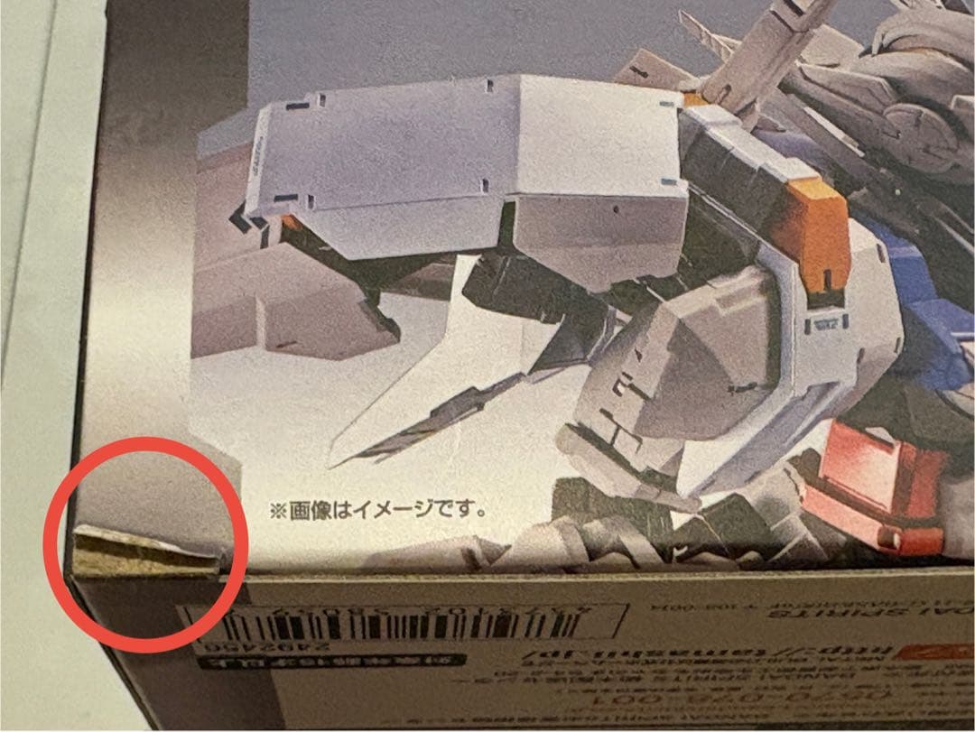 グレース出品