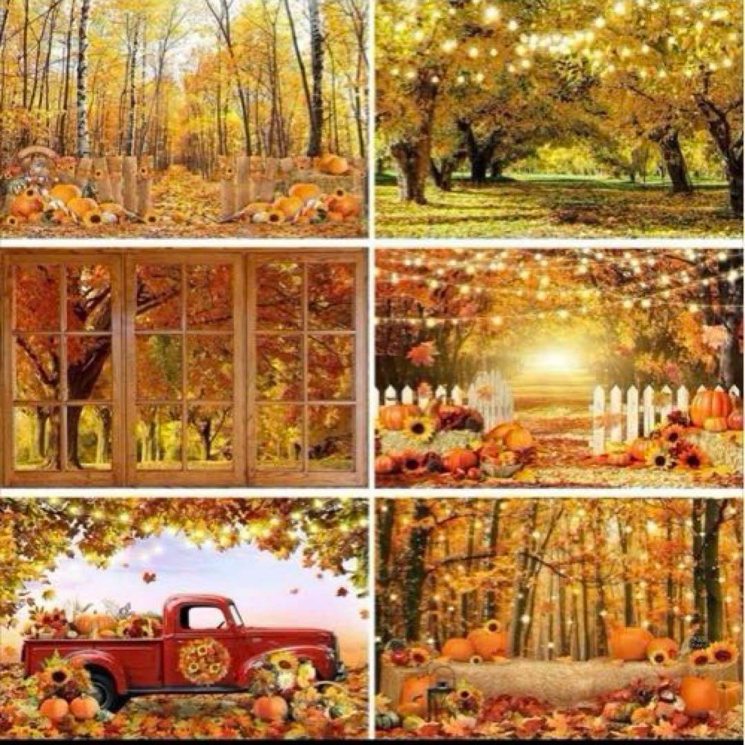 micia luxuryバック紙 ハロウィン 秋 (300×200cm)