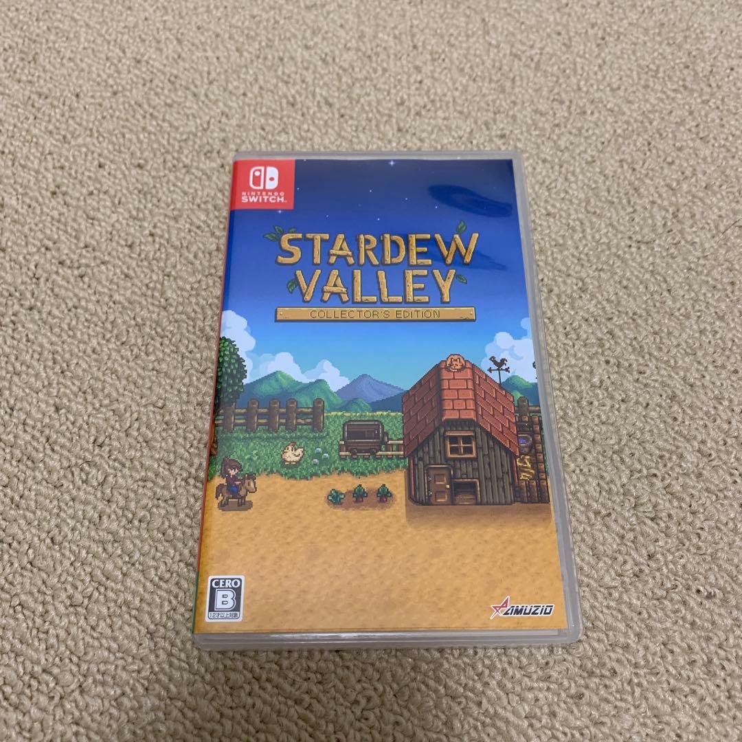 国内版　スターデューバレー Switch