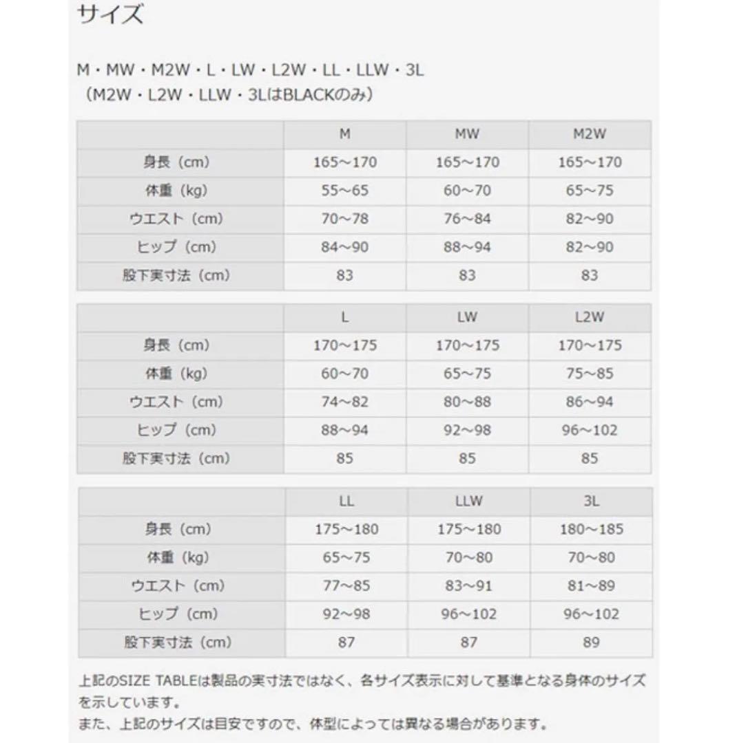 どろぼー成金 HYOD 革ツナギ Lサイズ ブーツアウトタイプ