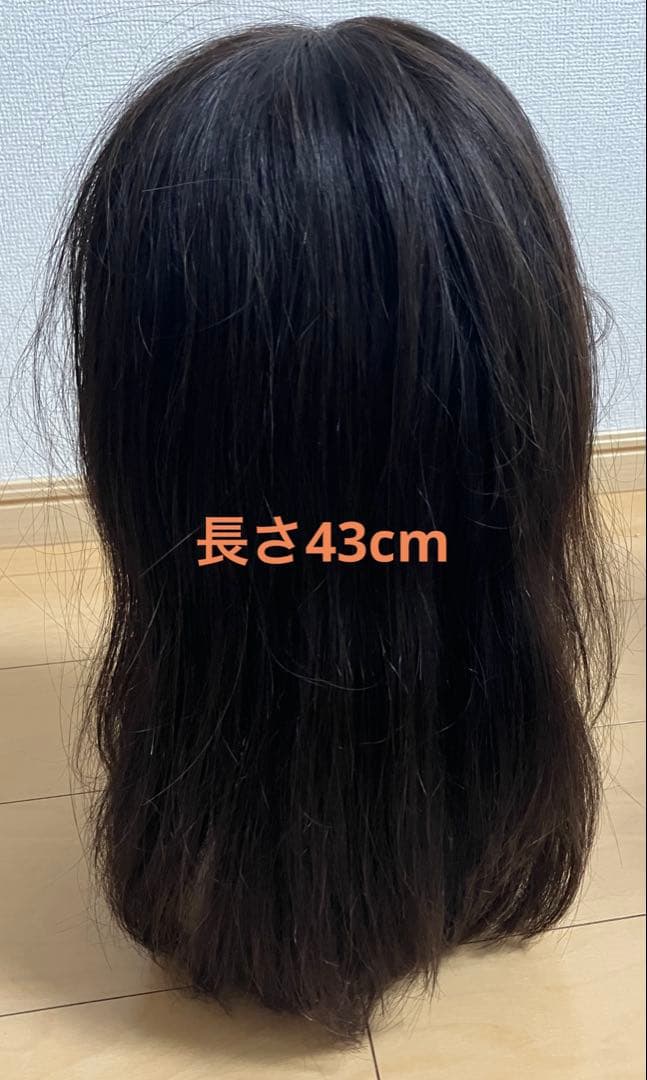 ウイッグ