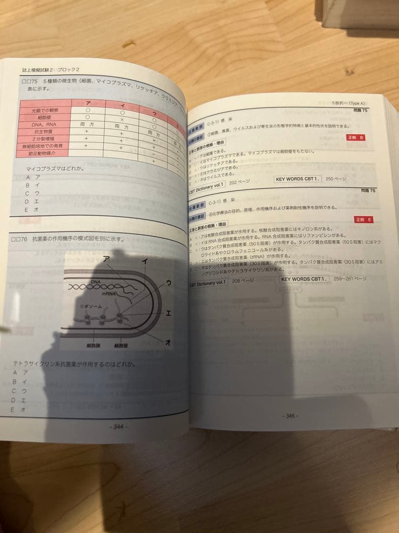 CBT辞典　k