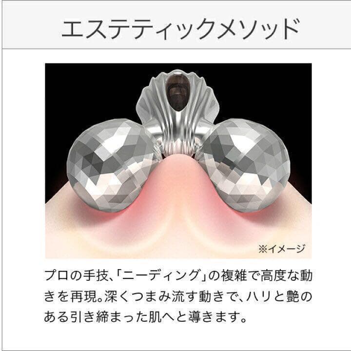 ２台 リファレイ