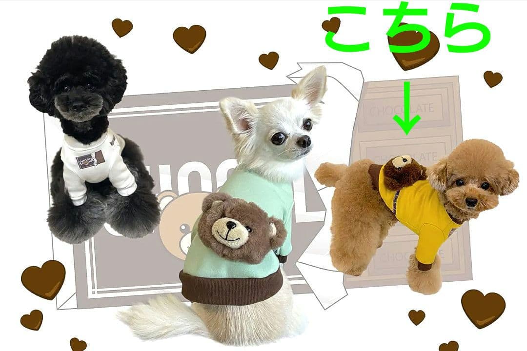 新品トップス＆インナーパンツcircuscircusサーカスサーカス