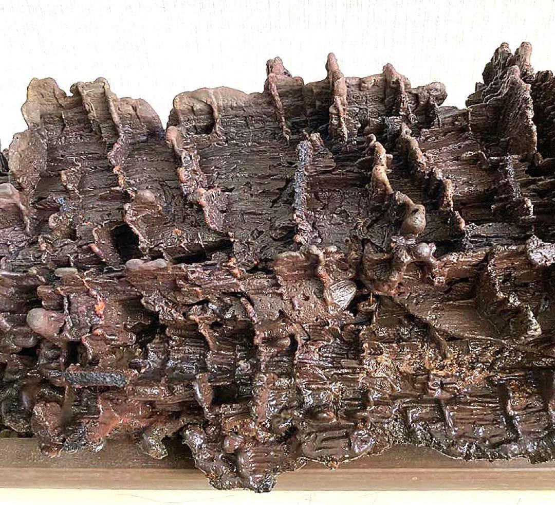 溶岩流[稀少品]観賞用・アクアリウム用