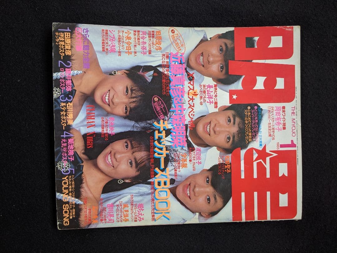 明星　少年隊　中森明菜　河合奈保子　小泉今日子　松田聖子　岡田有希子　桑田佳祐