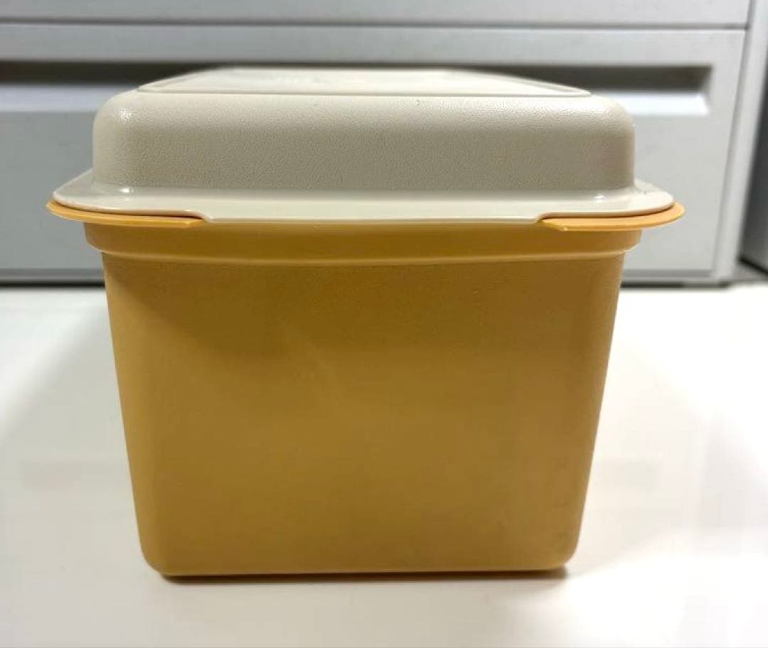 昭和レトロ入手困難希少激レア❤︎Tupperwareタッパーウェア❤︎パンケース大
