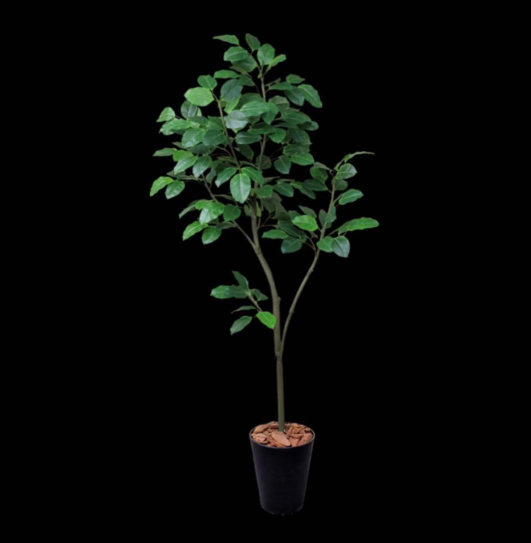 光触媒　人工観葉植物　ウォールグリーン　フェイクグリーン　ベンガレンシス1119