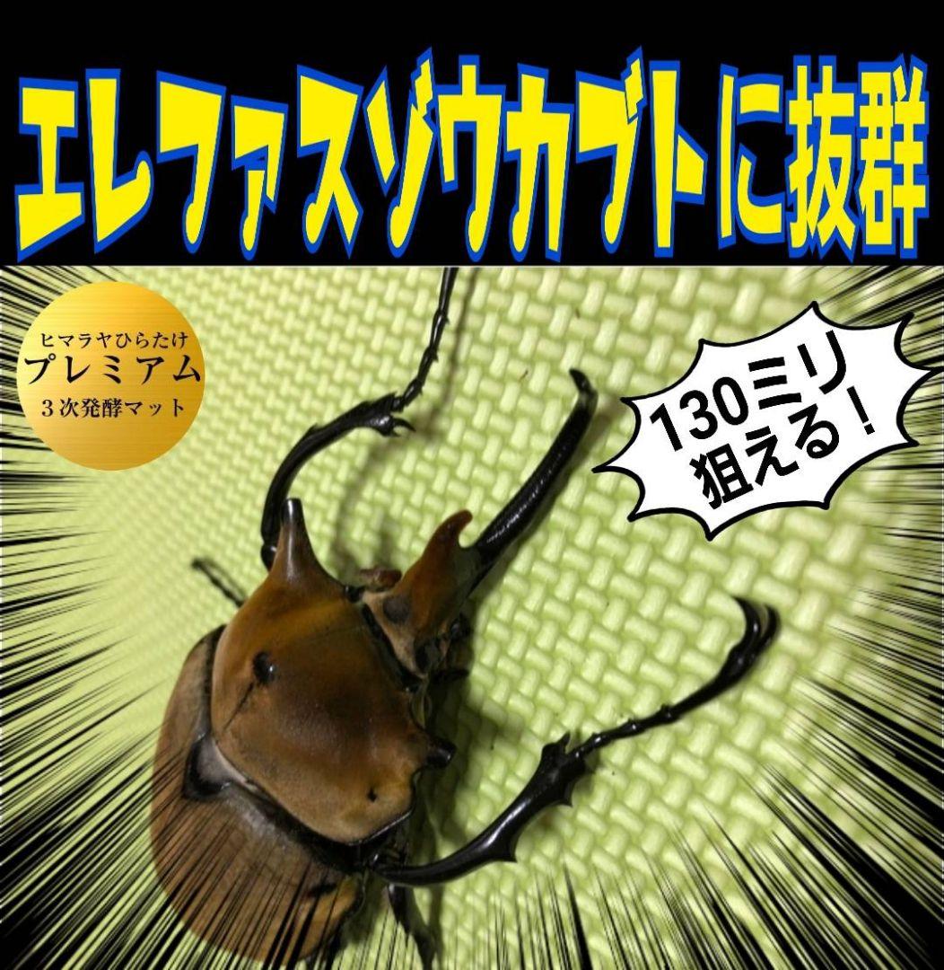 ヘラクレス幼虫が大きくなる！プレミアム3次発酵マット【60リットル】産卵にも抜群