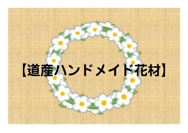 リース材料　蔓　キウイ近縁種　120サイズ　TK⑰　※「自然素材」盗用お断り
