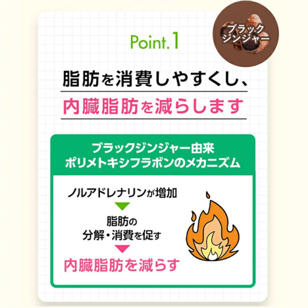 ファンケル 内脂サポート 30日分8袋〈240日分〉