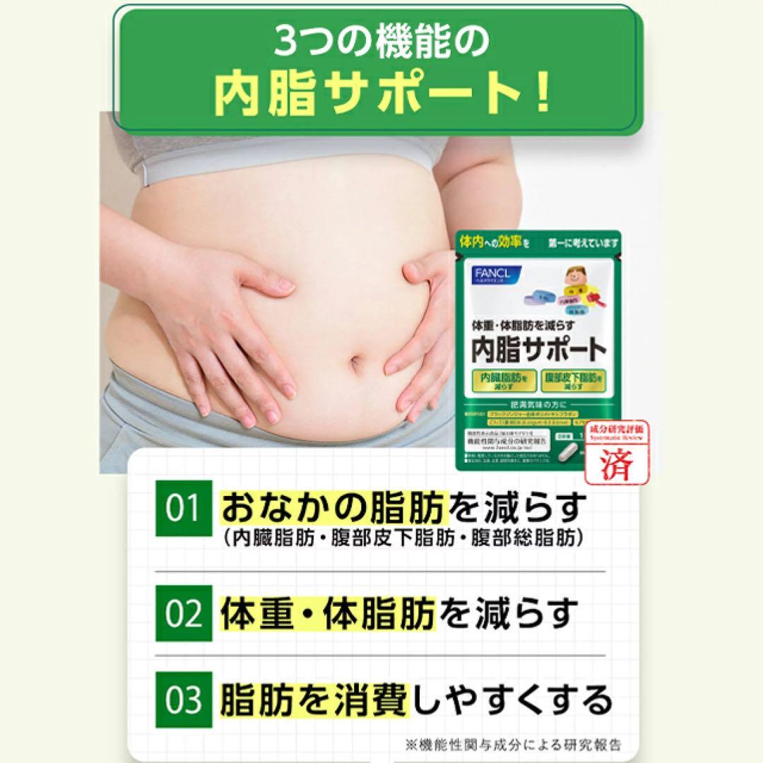 ファンケル 内脂サポート 30日分8袋〈240日分〉