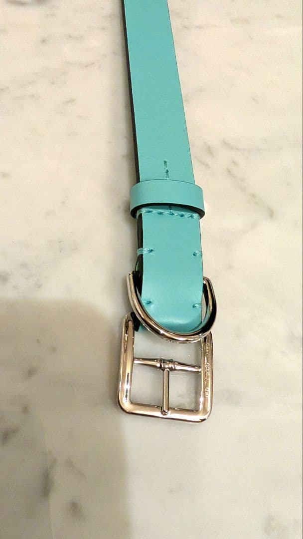 ■試着のみ 新品未使用 TIFFANY 首輪+リードセット Lサイズ 中〜大型犬
