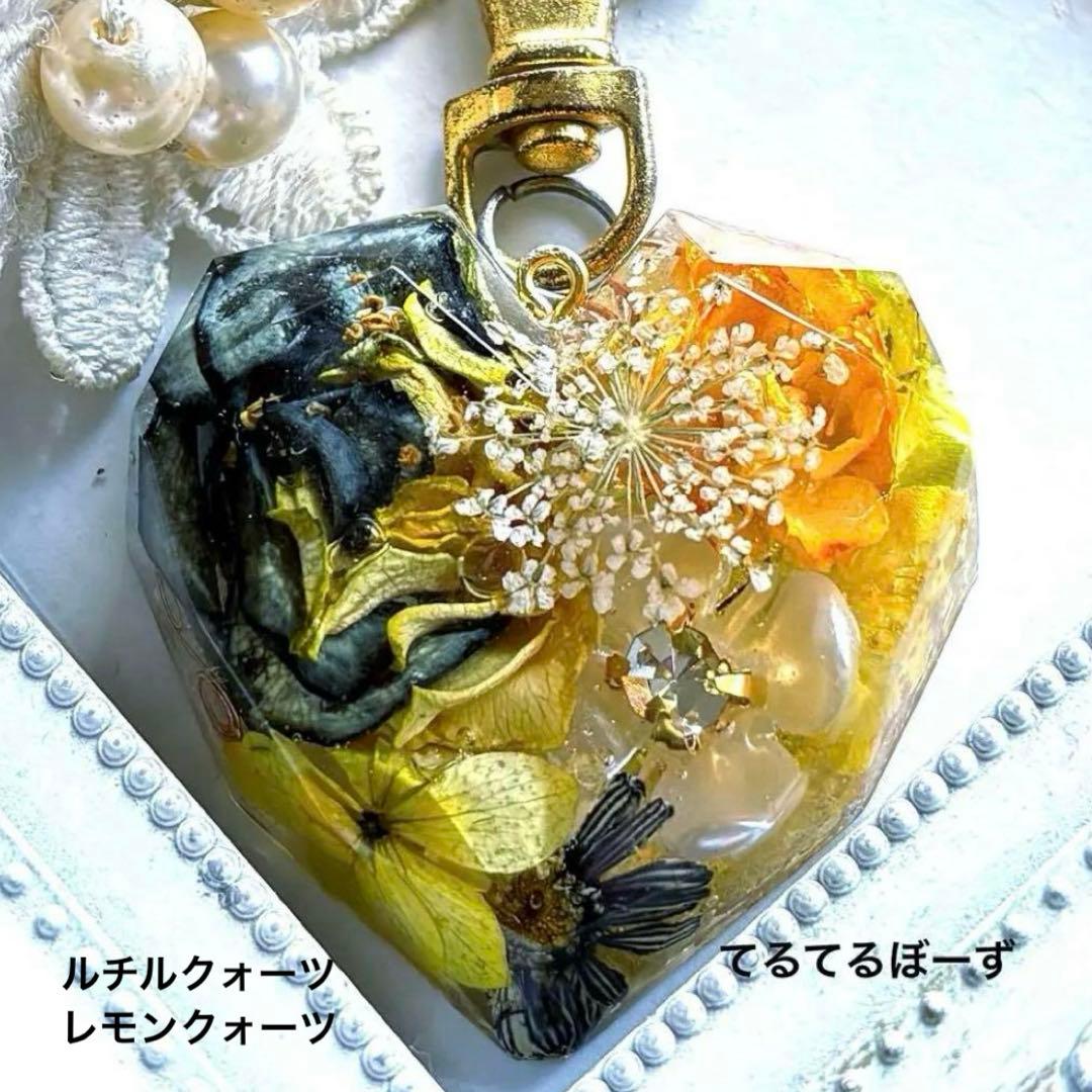 ももちです