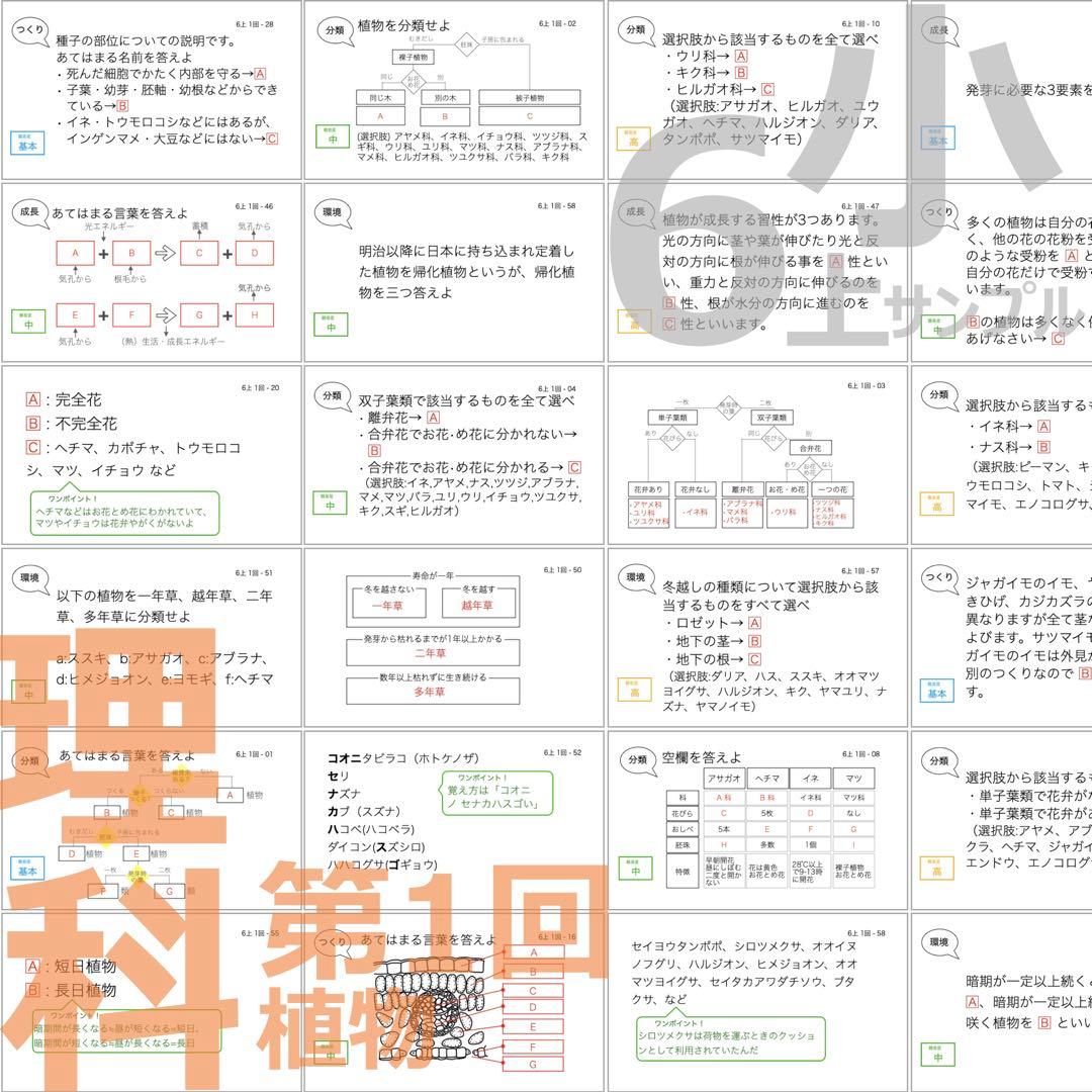 中学受験【6年上 理科 全セット1-17回】暗記カード 予習シリーズ 組分け