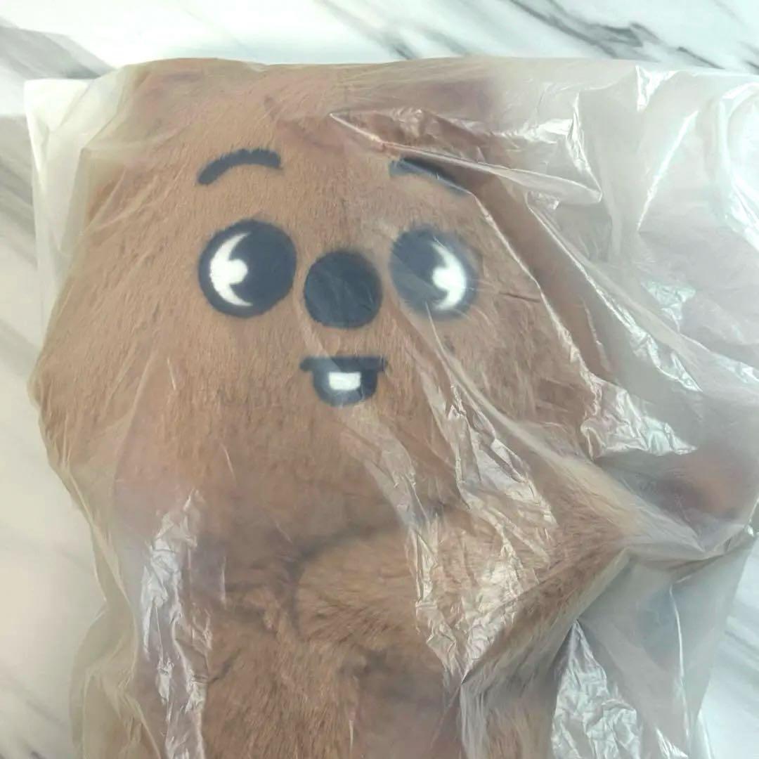 StrayKids SKZOO PLUSH BAGハンクオッカ