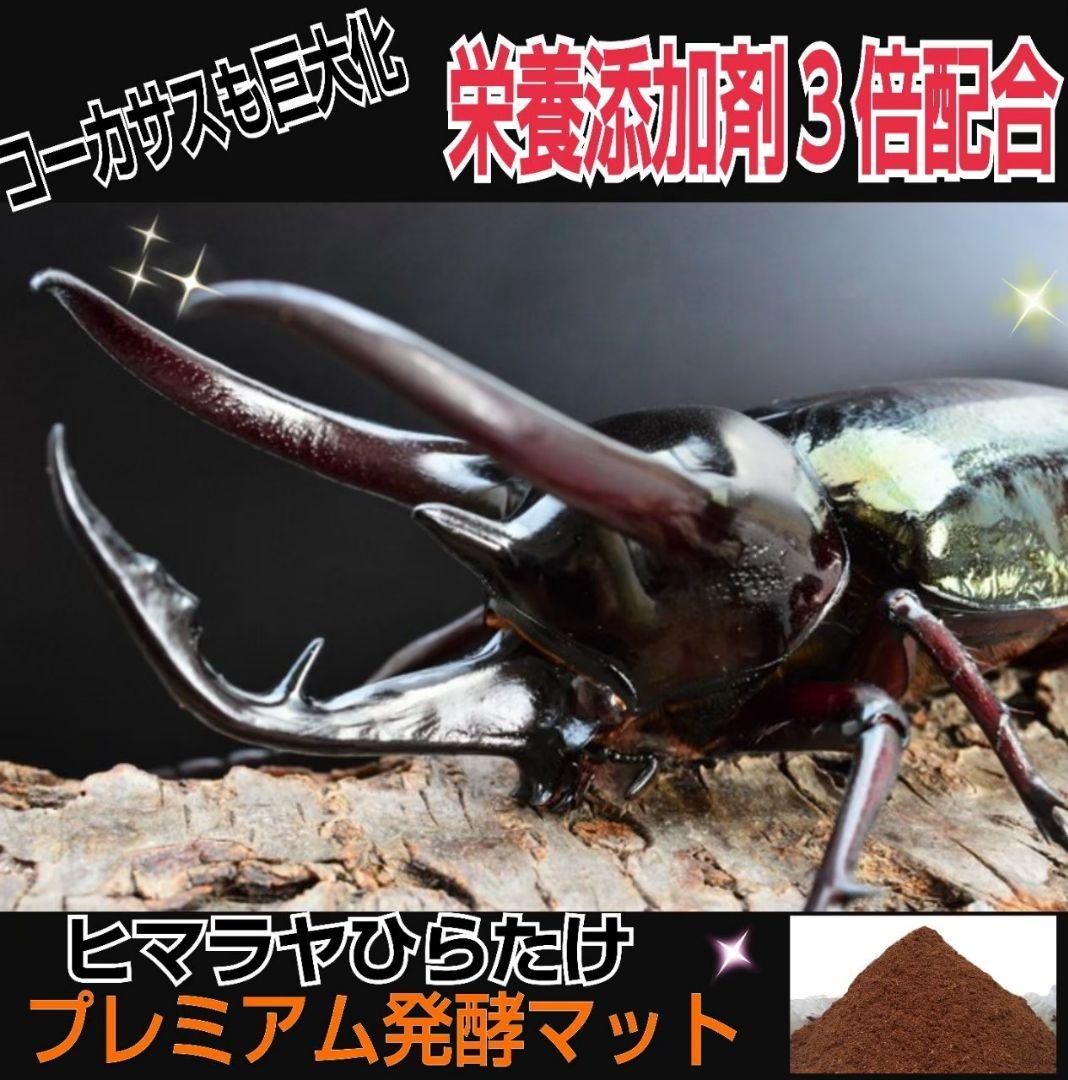 極上☆ギネス狙いに！プレミアム3次発酵カブトムシマット【6袋】特殊アミノ酸強化