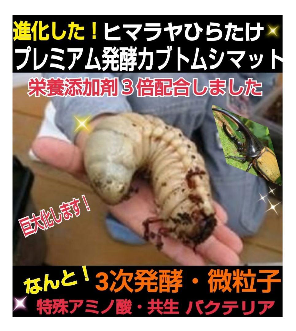 極上☆ギネス狙いに！プレミアム3次発酵カブトムシマット【6袋】特殊アミノ酸強化