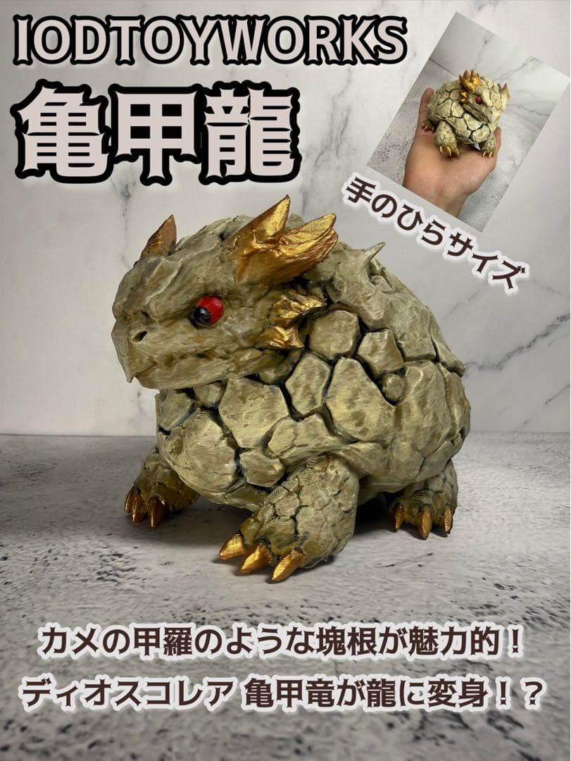 ディオスコレア亀甲竜　　亀甲龍