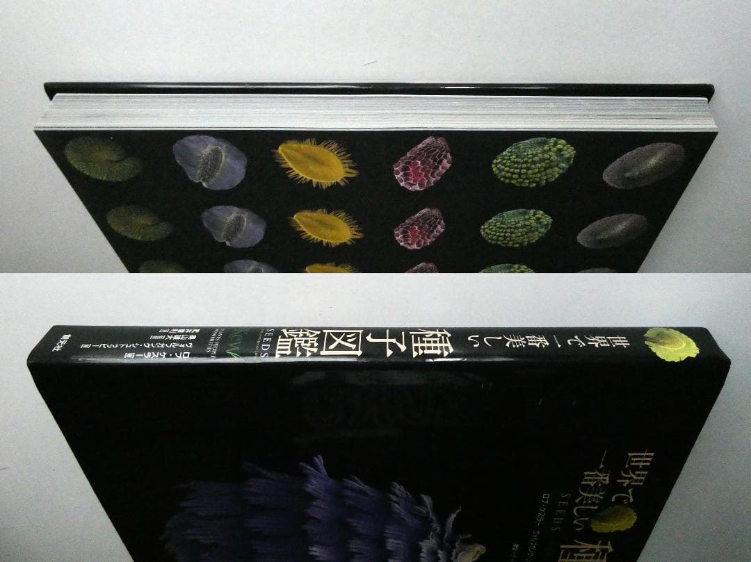 【中古】世界で一番美しい種子図鑑 : キュー王立植物園公認 ロブ・ケスラー