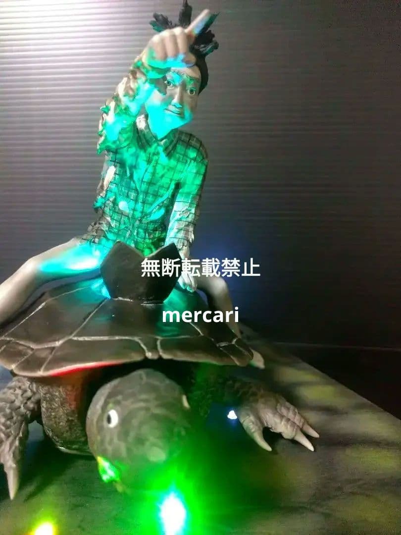 育てよカメ