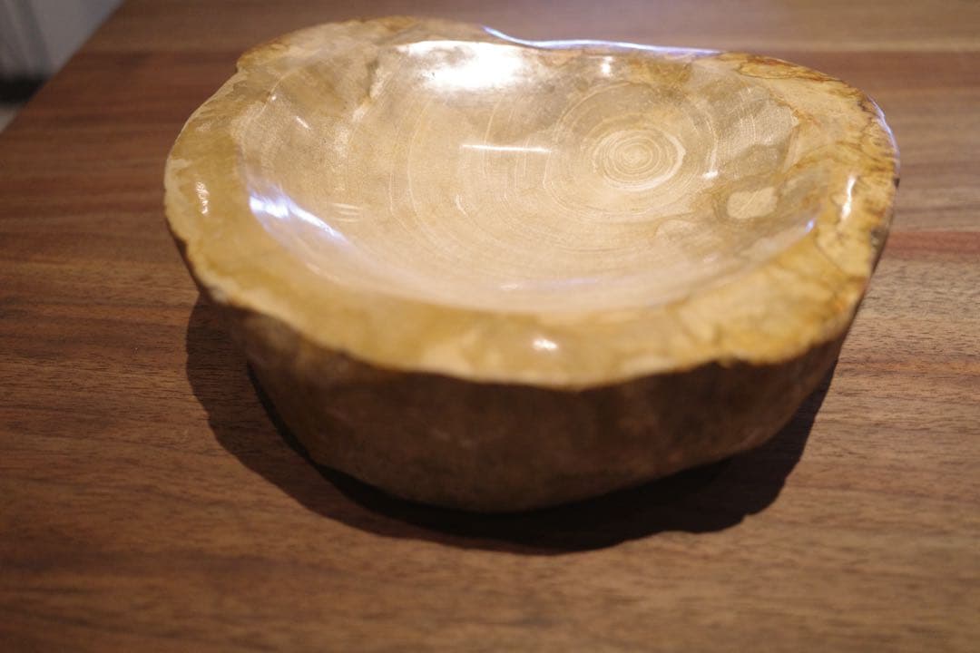 OAK 珪化木のトレー