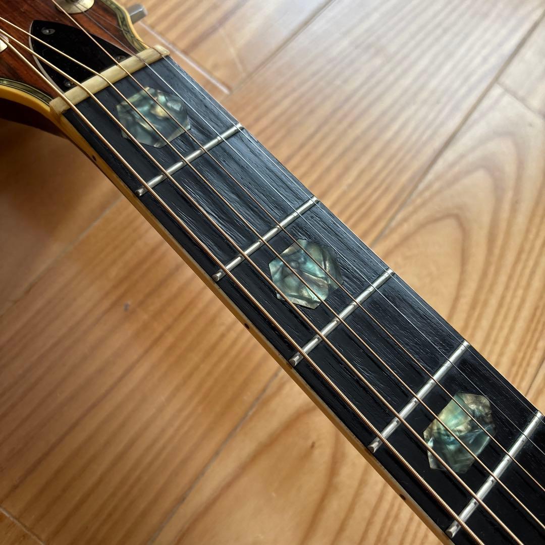 Fernandes アコースティックギター　W-400