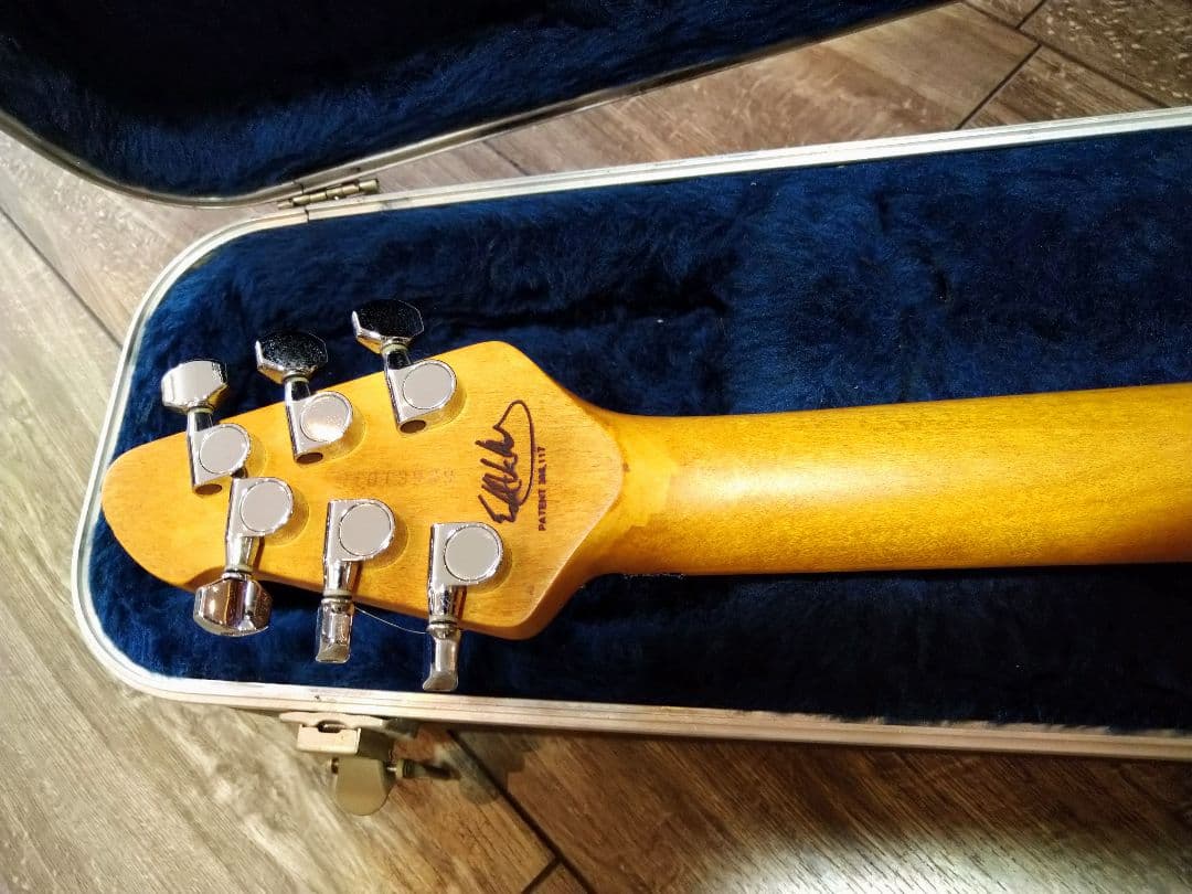 ギター peavey wolfgang special