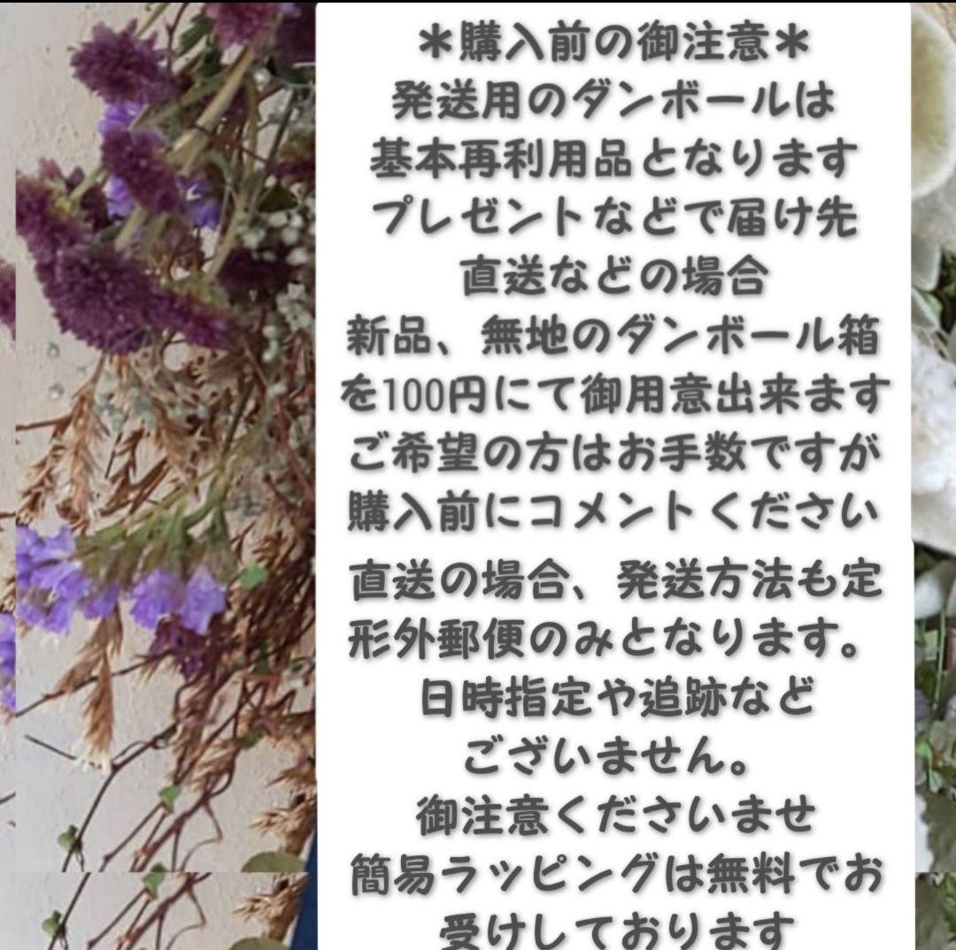 専用✨迎春2022✨正月飾り スカシホオズキ (ドライ)
