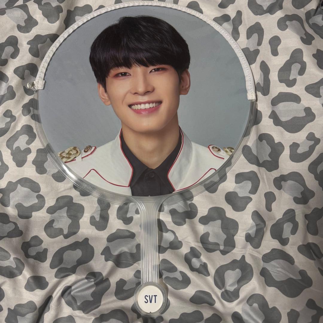 SEVENTEEN セブチ ウォヌ 団扇 うちわ 18本まとめ売り