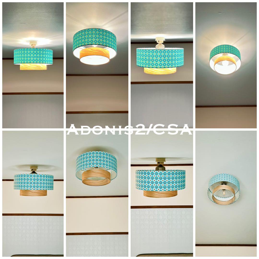 天井照明 シーリングライト Adonis2/CSA E26 LED レトロ 北欧