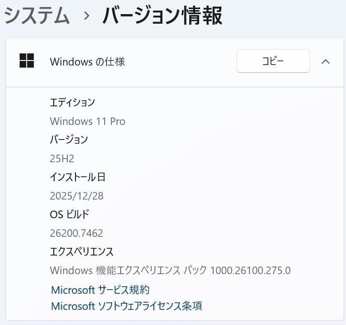 【10世代 i3】13.3型 dynabook S73/FR 16GB オフィス