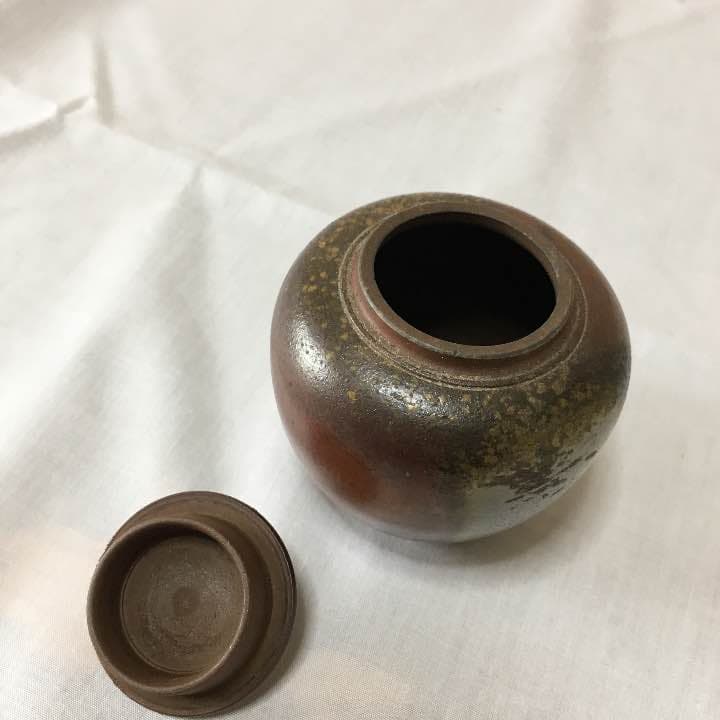 小さな蕾