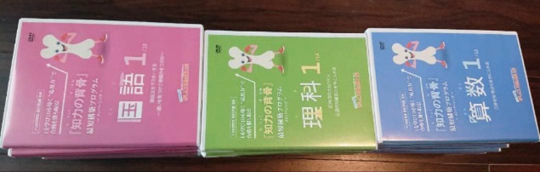 知力の背骨